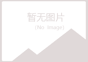 长岛县安雁能源有限公司